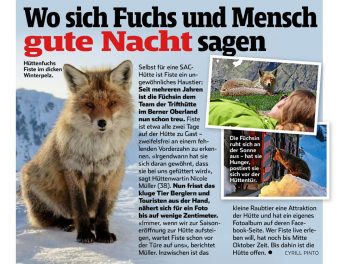 Blick am Sonntag 2016-11-09